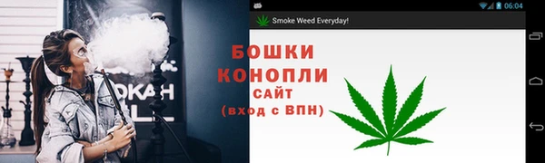 СК Ладушкин