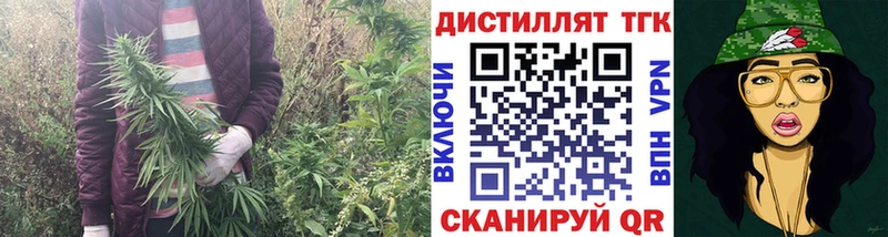 ТГК концентрат  Тогучин 