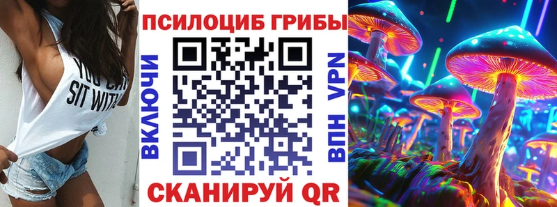 Псилоцибиновые грибы Psilocybine cubensis мега tor Тогучин купить закладку